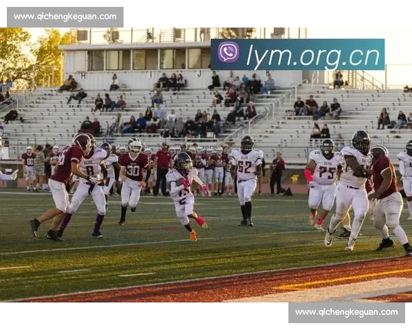 全新体育赛事平台助力全球体育迷畅享实时赛事体验与互动交流